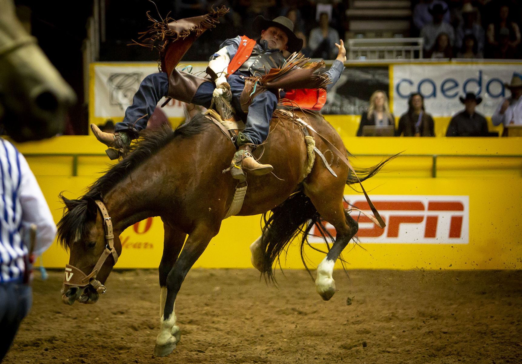 CNFR Wednesday